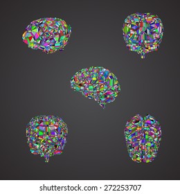 The human brain at different angles, segments of the brain