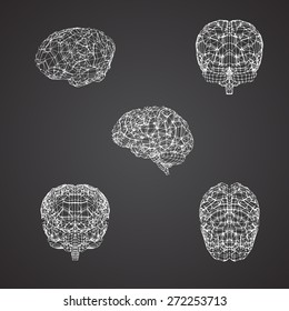 The human brain at different angles, a three-dimensional white grid