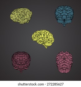 The human brain at different angles, a three-dimensional grid in color