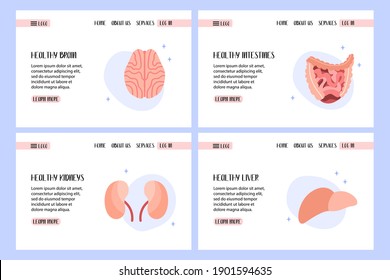 Human brain, digestive system, kidneys, liver. Diagnostics of diseases of internal organs. Vector flat cartoon illustration. Perfect for banner, landing page, website