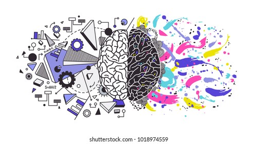 Human brain divided into right and left cerebral hemispheres responsible for different functions - creativity or arts and logic or logical thinking respectively. Colorful modern vector illustration.