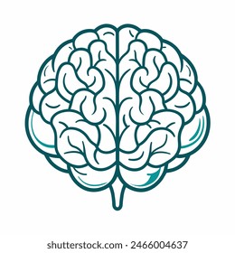 Human brain drawing on white background with artistic patterns and symmetry
