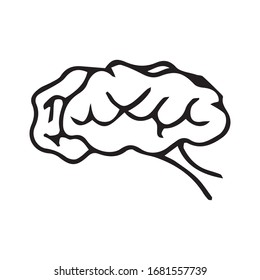 human brain drawing vector sketch