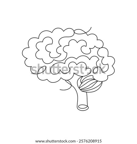 Human brain, drawn with continuous line in minimalism, abstract, organ, central nervous system, nerve cells, mind, one line, editable vector contour