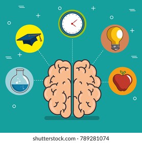 human brain education thinking concept