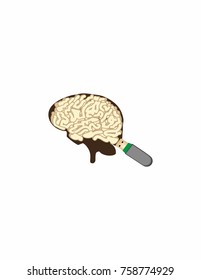 The human brain and a flash drive