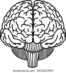 Human Brain Front for Coloring. Vector Illustration of Internal Organs. Medicine Concept