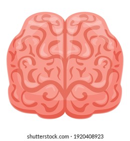 Human brain front icon. Cartoon of human brain front vector icon for web design isolated on white background