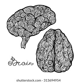 Human brain front and profile with abstract calligraphic ornament doodle set isolated vector illustration