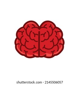 Human brain frontview illustration isolated on white background