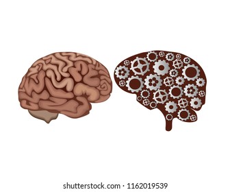 Human brain, brain gear