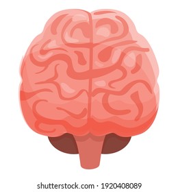 Human brain genius icon. Cartoon of human brain genius vector icon for web design isolated on white background