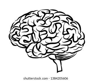 Human Brain Graphic Black White Drawing Stock Vector (Royalty Free ...