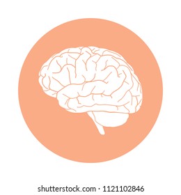 Human brain graphic icon. Brain sign in the circle isolated on white background. Vector illustration
