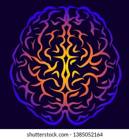 The human brain. Graphic, multi-colored silhouette of the brain view from above on a dark purple background.