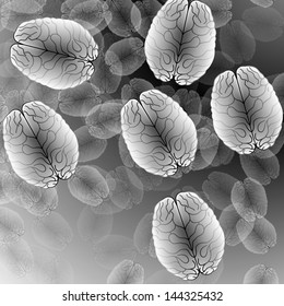 the human brain and gray abstract background