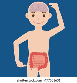 human brain and guts, second brain, vector illustration