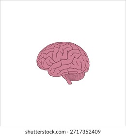 human brain hand drawn illustration artwork