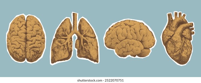 Cérebro humano, coração e pulmões. Elementos de colagem de meio-tom monocromático em estilo bitmap retrô para scrapbook, cartaz ou camiseta. Recortar adesivos pontilhados com textura de grão.