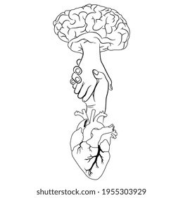 Human brain  