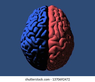 human brain hemispheres left blue and right red brain color engraving in top view illustration isolated on deep blue background