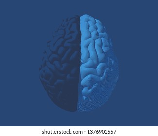 Human brain hemispheres left dark and right bright brain color engraving in top view illustration isolated on deep blue background