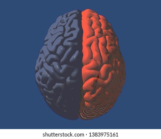 Human brain hemispheres left gray and right orange brain color engraving in top view illustration isolated on deep blue BG