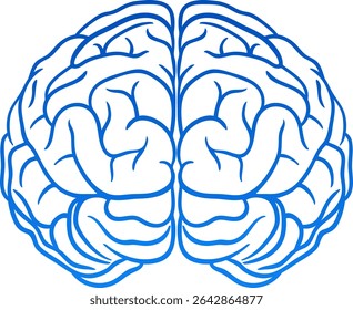 Human brain hempshires icon design. Soft blue gradient isolated brain clip art. Simple vector line art for Science Projects, Healthcare Infographics, and Academic use 