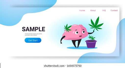 human brain holding marijuana leaf ganja legalize drug consumption cannabis addiction concept horizontal copy space vector illustration