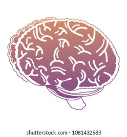 human brain icon