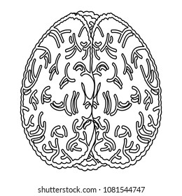 human brain icon