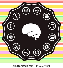 Human brain icon