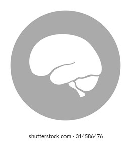 Human brain icon