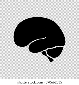 Human brain icon