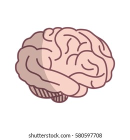 human brain icon