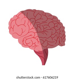 human brain icon