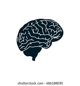 human brain icon