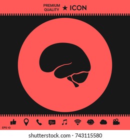 Human brain icon