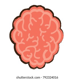 human brain icon
