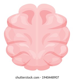Human brain icon. Cartoon of human brain vector icon for web design isolated on white background