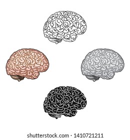 Human brain icon in cartoon,black style isolated on white background. Human organs symbol stock vector illustration.