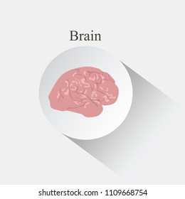 Human brain icon design. Internal organs vector