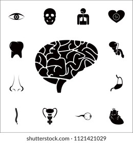 the human brain icon. Detailed set of Human parts icons. Premium quality graphic design sign. One of the collection icons for websites, web design, mobile app on colored background