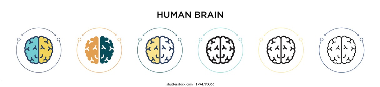 Human brain icon in filled, thin line, outline and stroke style. Vector illustration of two colored and black human brain vector icons designs can be used for mobile, ui, web