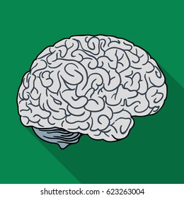 Human brain icon in flat style isolated on white background. Human organs symbol stock vector illustration.