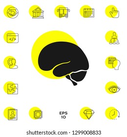 Human brain icon. Graphic elements for your design