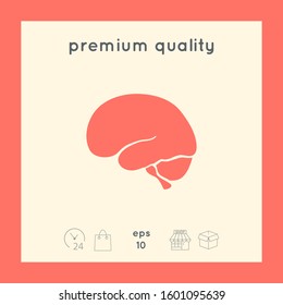 Human brain icon. Graphic elements for your design