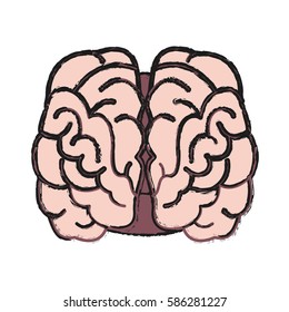 human brain icon image