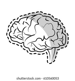human brain icon image 