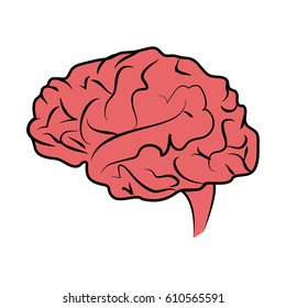 human brain icon image 